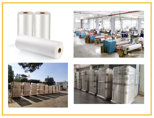 Film flessibile resistente all'abrasione con base fredda e termica