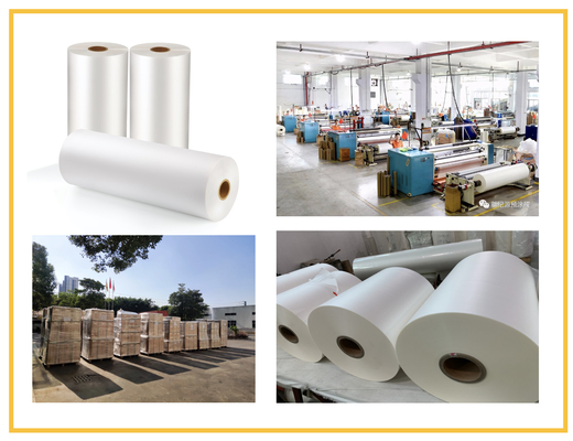 Lunghezza 100 M - 3000 M Film resistente agli graffi con superficie liscia di 30 micron
