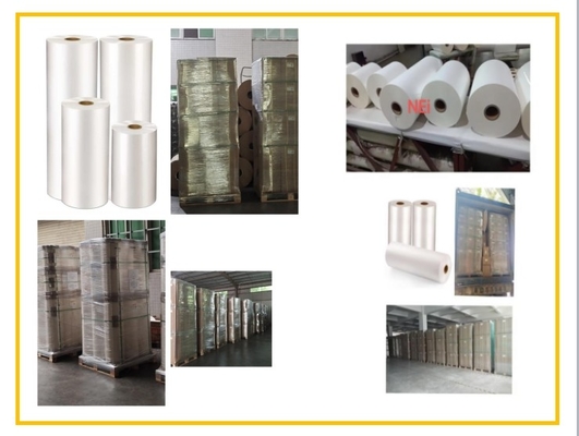 Film di laminazione a caldo BOPP efficiente 20mic per la stampa offset