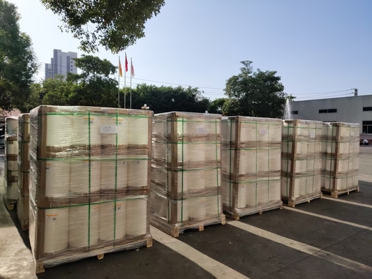 Film di imballaggio sostenibile Eco-friendly per la laminazione termicamente compatibile e forte legame