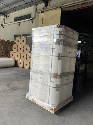 Pellicola di laminazione termica da 30 MICRON con superficie liscia e durezza morbida per laminazione digitale