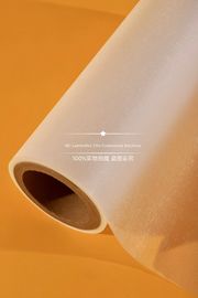 Film caldo Rolls della laminazione dell'estrusione multipla con EVA premio per le riviste