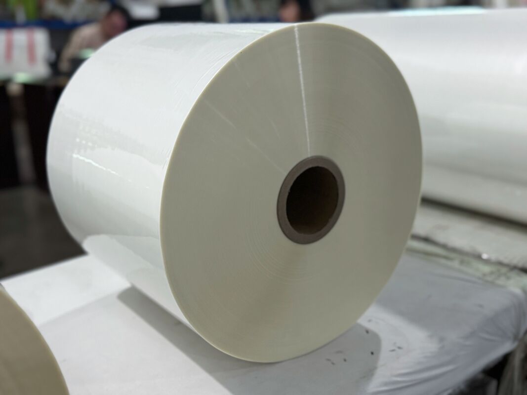 Film di laminazione termica PET impermeabile ai graffi con finitura lucida per la laminazione fotografica