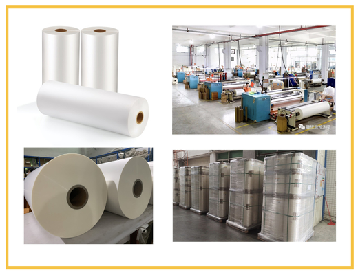Film per laminazione termica BOPP trasparente lucido e opaco con colla da 15mic a 43mic