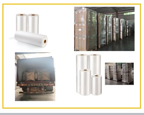 Film di laminazione termica in PET ecologico a doppio lato Corona trattato