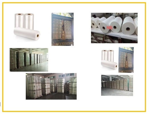Pellicola di laminazione termica BOPP bianca trasparente con rivestimento Eva per carta / plastica