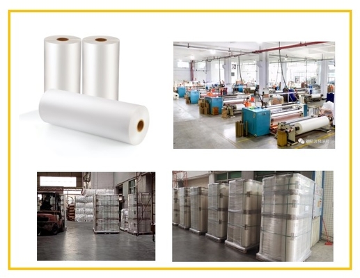 SGS 15 Micron BOPP Film di laminazione termica per copertine di libri
