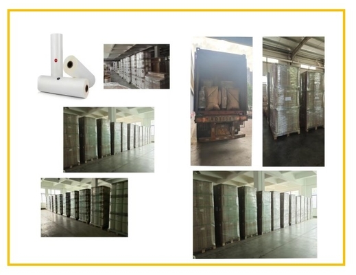 100% trasparenza film antigraffi per applicazioni di rivestimento 100 mm a 2200 mm larghezza