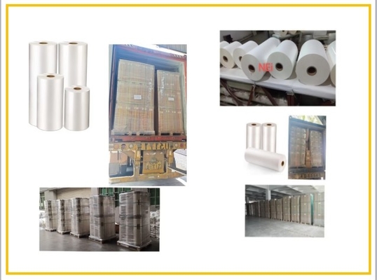 Film di laminazione lucido versatile per diverse dimensioni e lunghezze di carta