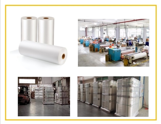 Pellicola di laminazione termica BOPP di colore bianco puro per la stampa offset