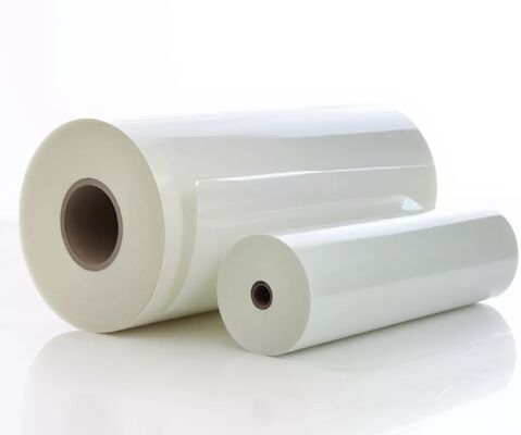 Film di laminazione luccicante con spessore di 95-105 micron, finitura fredda liscia e consistenza in pelle per una maggiore durata
