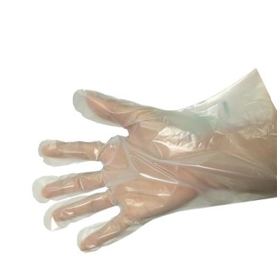 I guanti eliminabili biodegradabili concimabili da 200 micron 100%