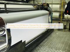 Spessore da 11 a 250 micron di film termico per laminazione, finitura lucida, che offre protezione e un maggiore impatto visivo